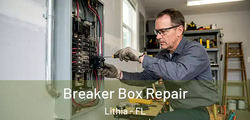 Breaker Box Repair Lithia - FL