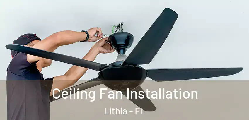  Ceiling Fan Installation Lithia - FL