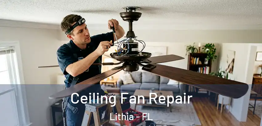  Ceiling Fan Repair Lithia - FL