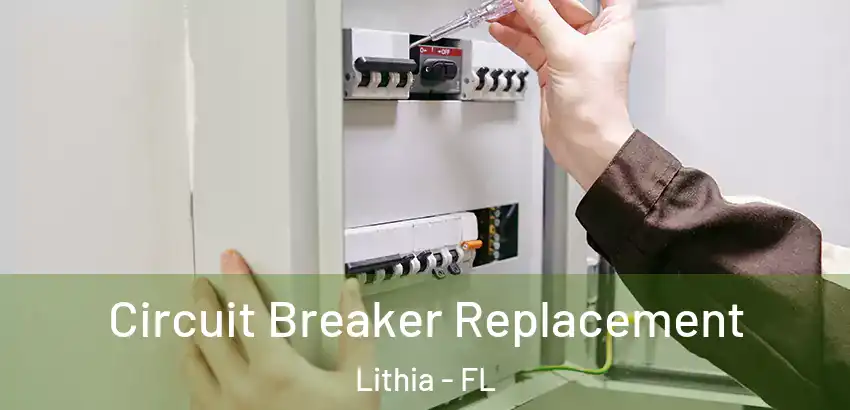  Circuit Breaker Replacement Lithia - FL