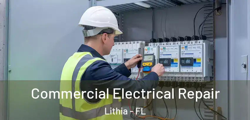  Commercial Electrical Repair Lithia - FL