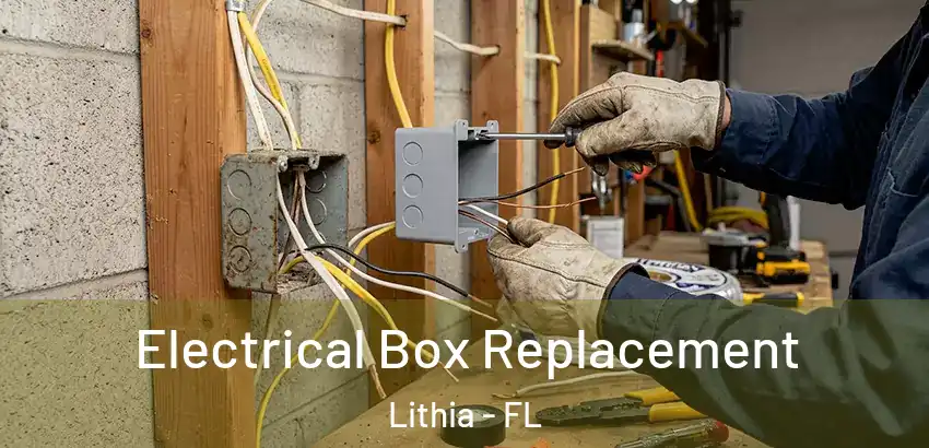  Electrical Box Replacement Lithia - FL