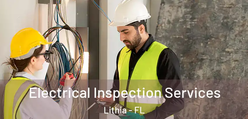 Electrical Inspection Services Lithia - FL