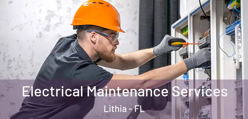  Electrical Maintenance Services Lithia - FL