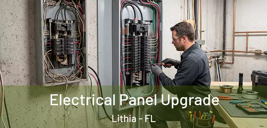  Electrical Panel Upgrade Lithia - FL