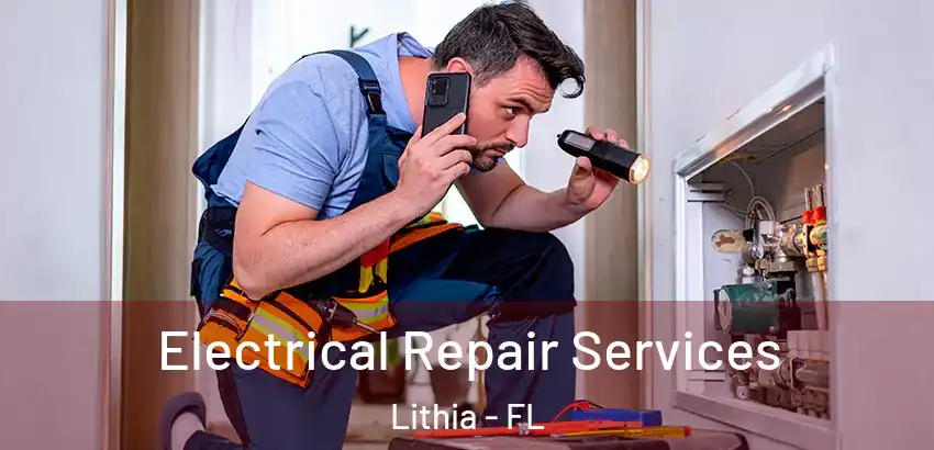  Electrical Repair Services Lithia - FL