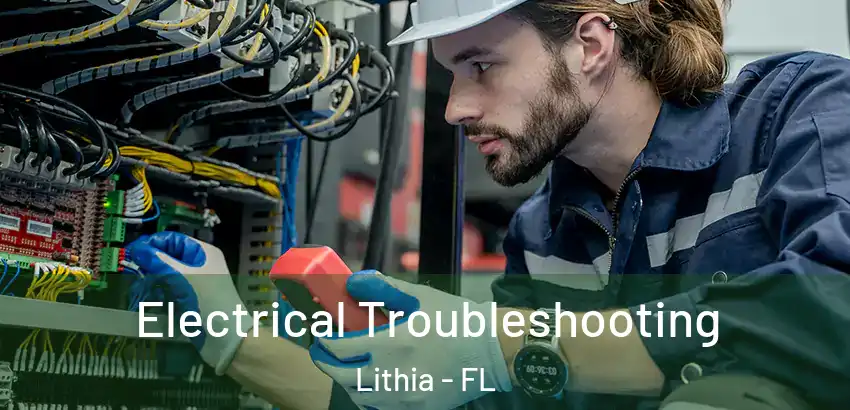  Electrical Troubleshooting Lithia - FL