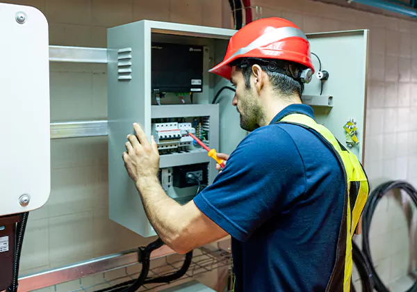 Electrical Panel Upgrade Lithia