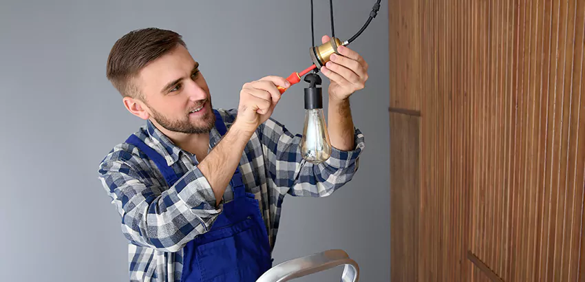 Residential Electrical Repair In Lithia