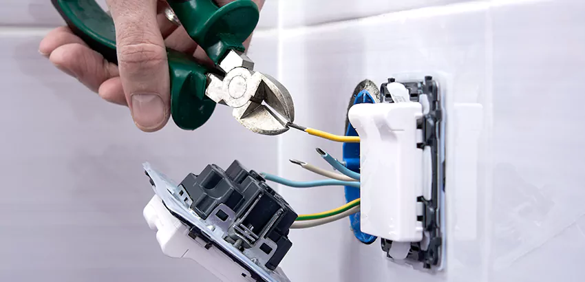 Outlet and Switch Repair Services in Lithia