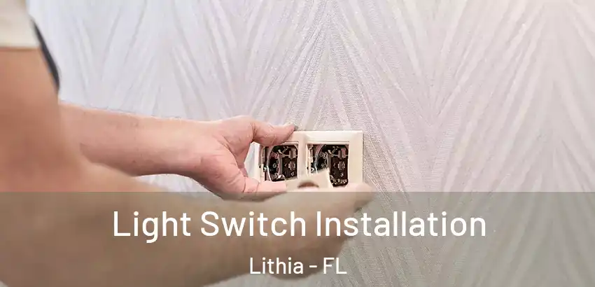  Light Switch Installation Lithia - FL