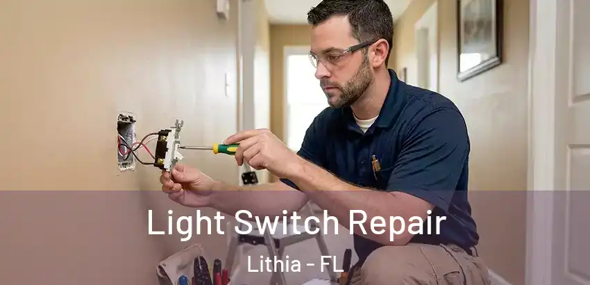  Light Switch Repair Lithia - FL