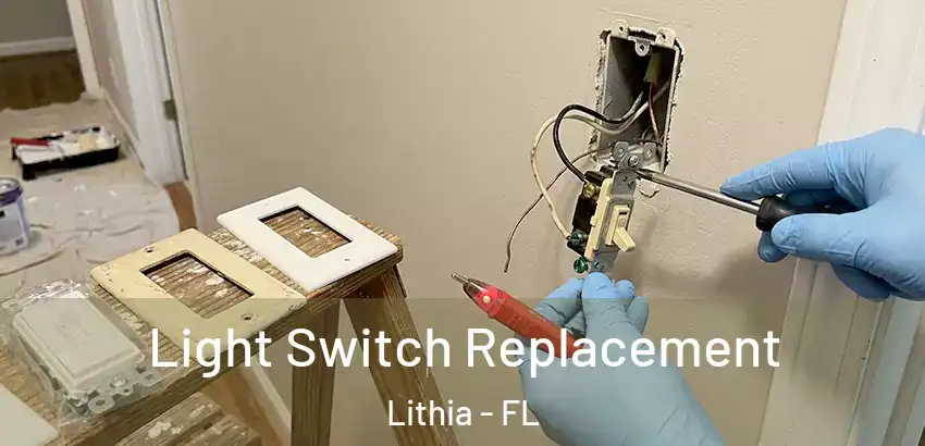  Light Switch Replacement Lithia - FL