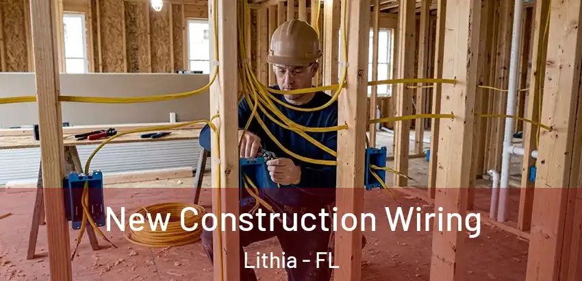 New Construction Wiring Lithia - FL