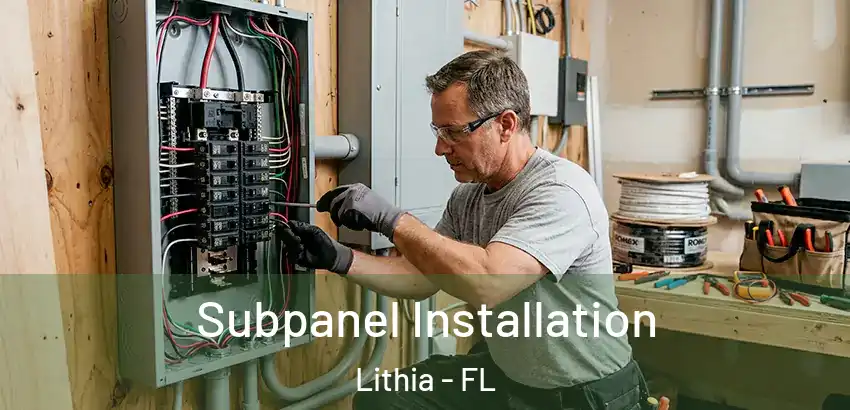  Subpanel Installation Lithia - FL
