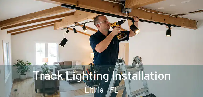  Track Lighting Installation Lithia - FL