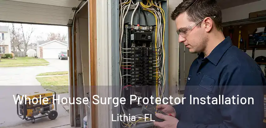  Whole House Surge Protector Installation Lithia - FL